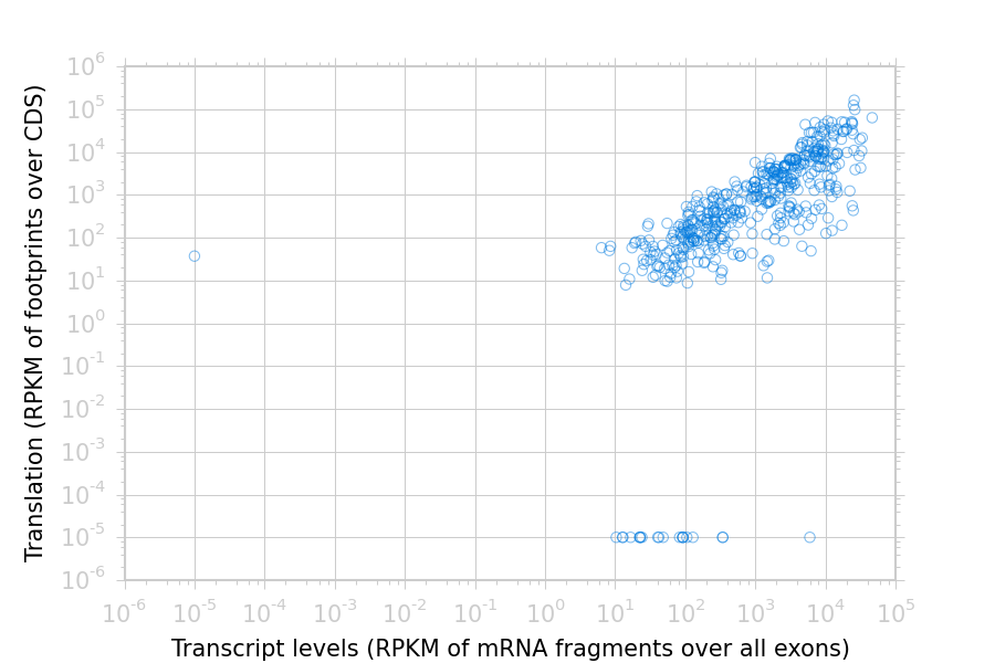 Scatter plot of translation versus transcription levels