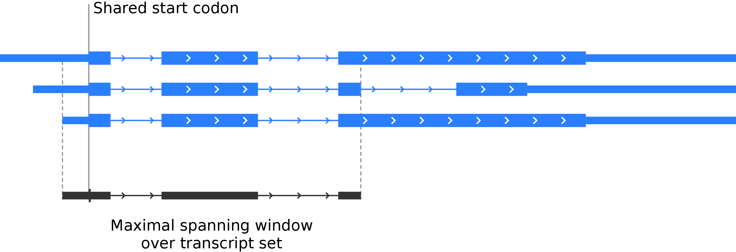 Metagene - maximal spanning window